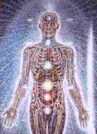 Bio-Energetic Testing